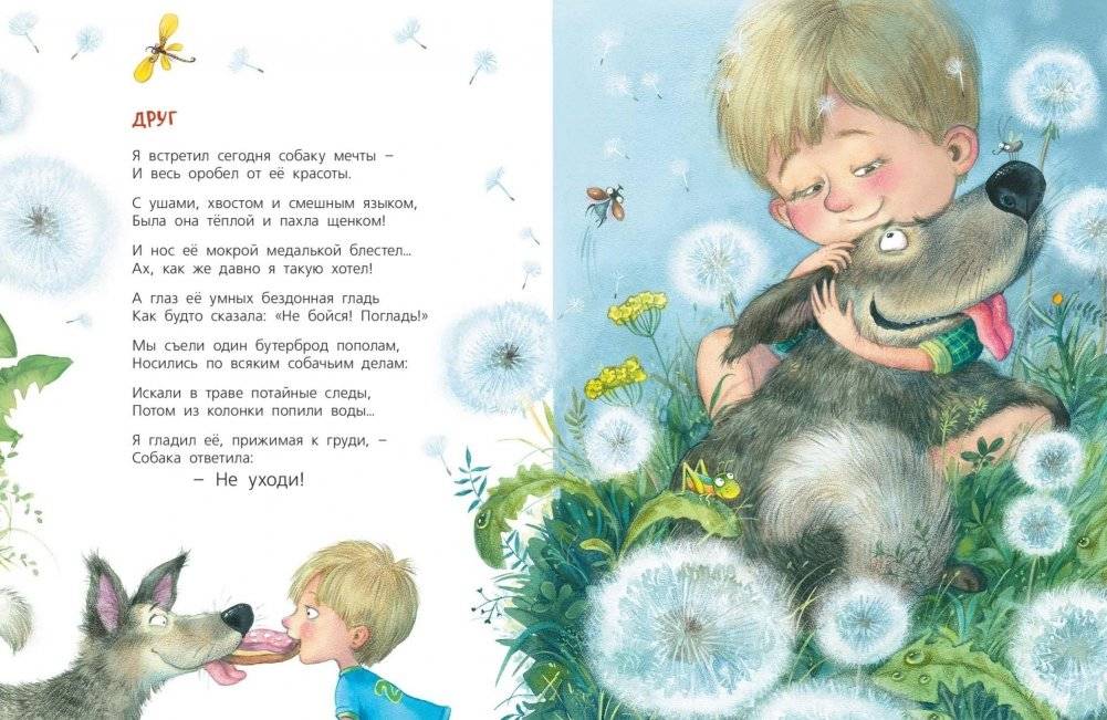 Жизнь собачья фото книги 7