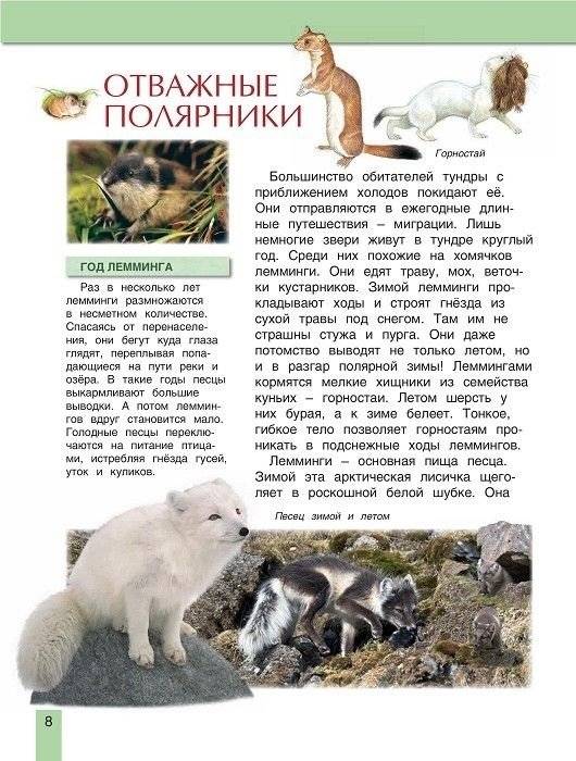 Животные России фото книги 4