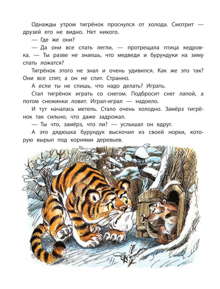 Сказка про Зелёную Лошадь фото книги 9