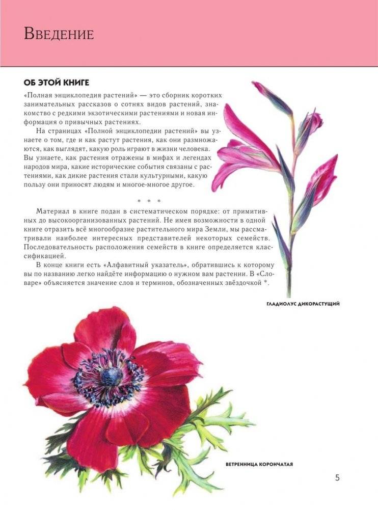 Растения: полная энциклопедия фото книги 4
