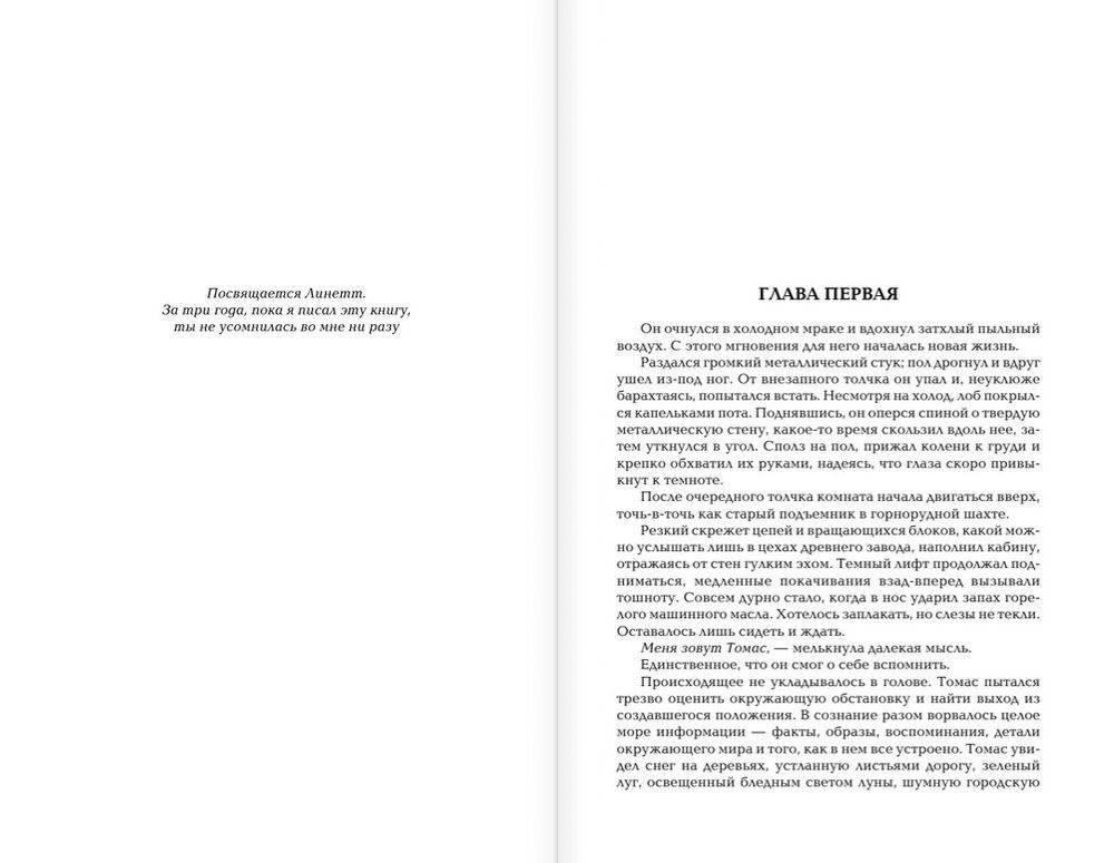 Бегущий в Лабиринте. Испытание огнем. Лекарство от смерти фото книги 3
