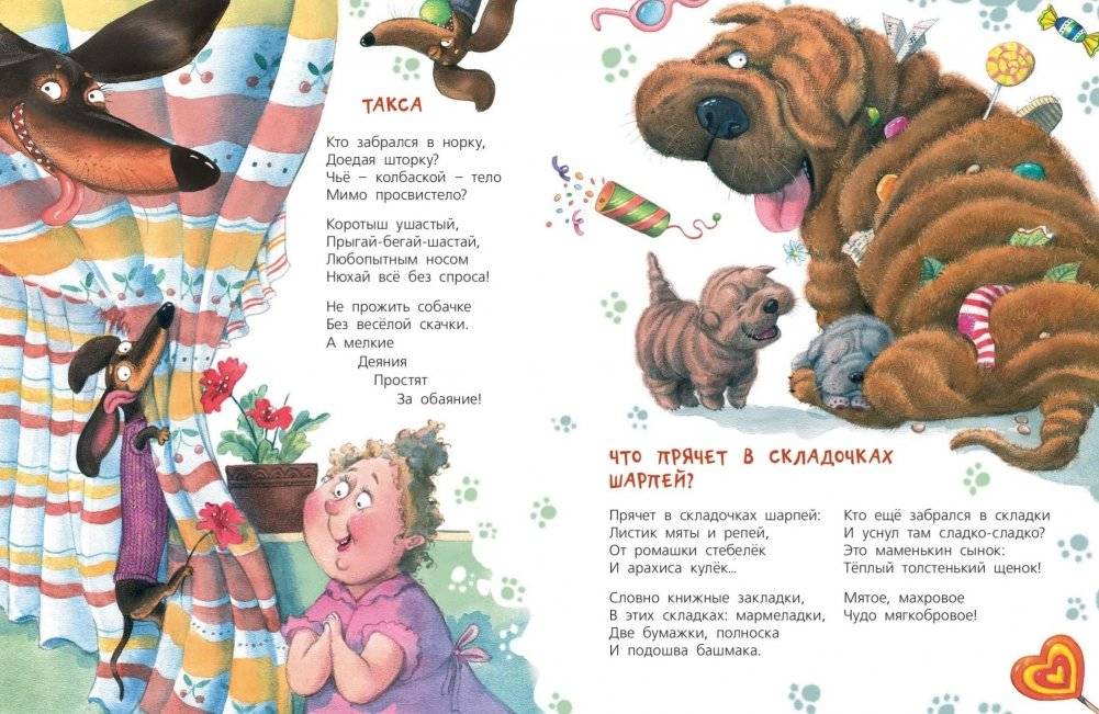 Жизнь собачья фото книги 6