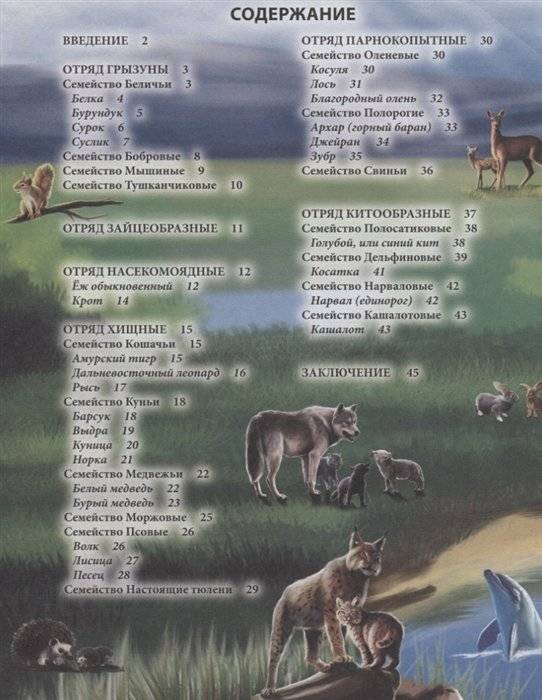 Энциклопедия. Животные России фото книги 2
