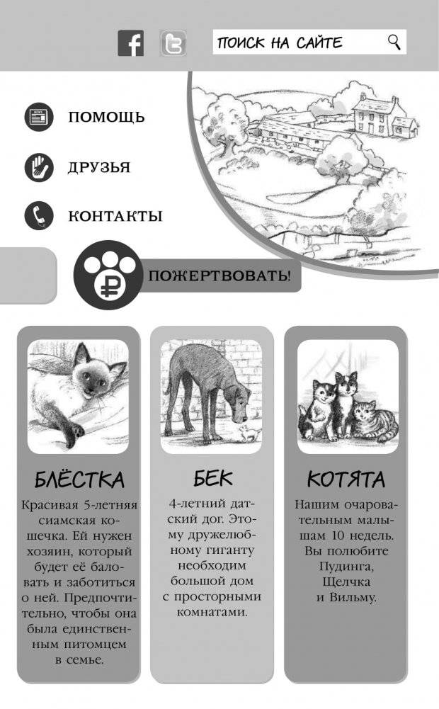 Где прячется котёнок? фото книги 8