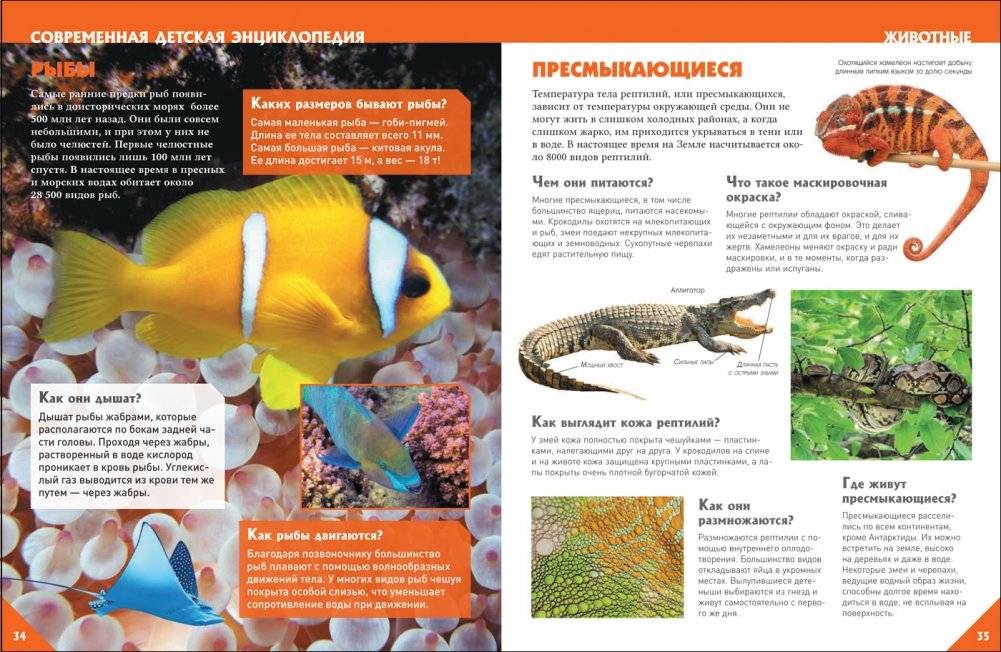 Большая универсальная энциклопедия фото книги 2