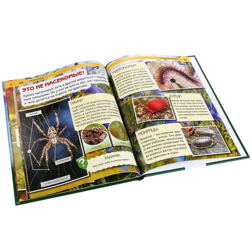 Насекомые фото книги 3