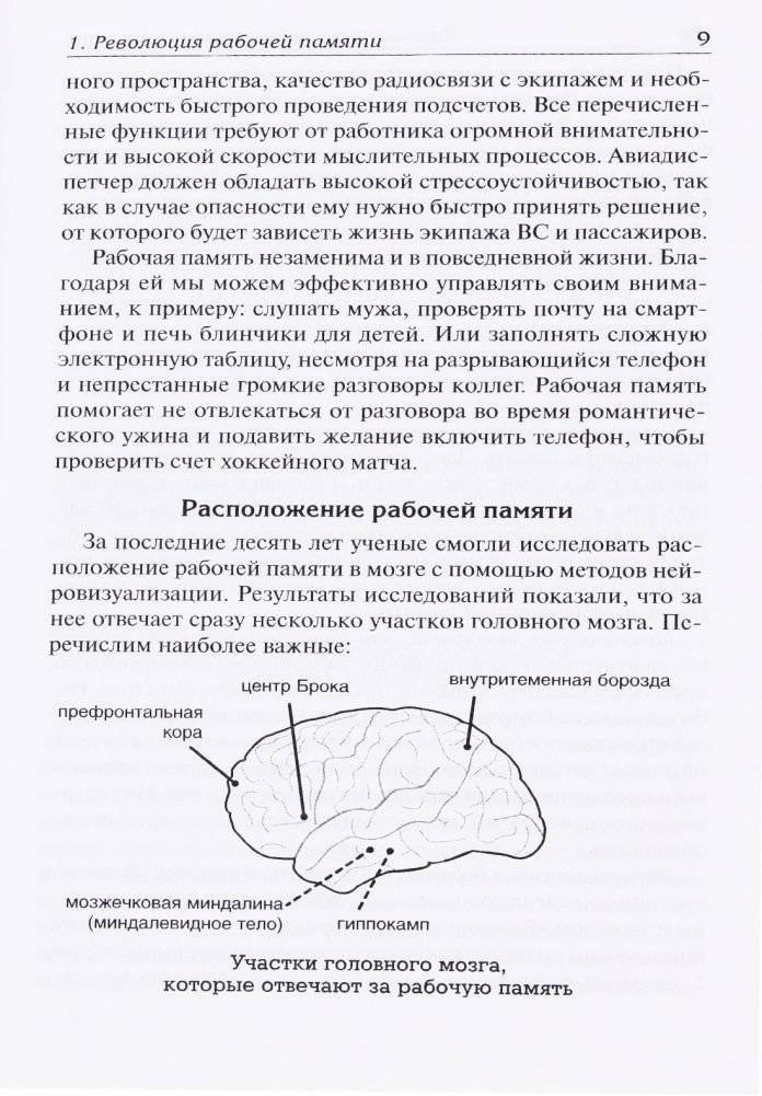 Включите свою рабочую память на полную мощь фото книги 5