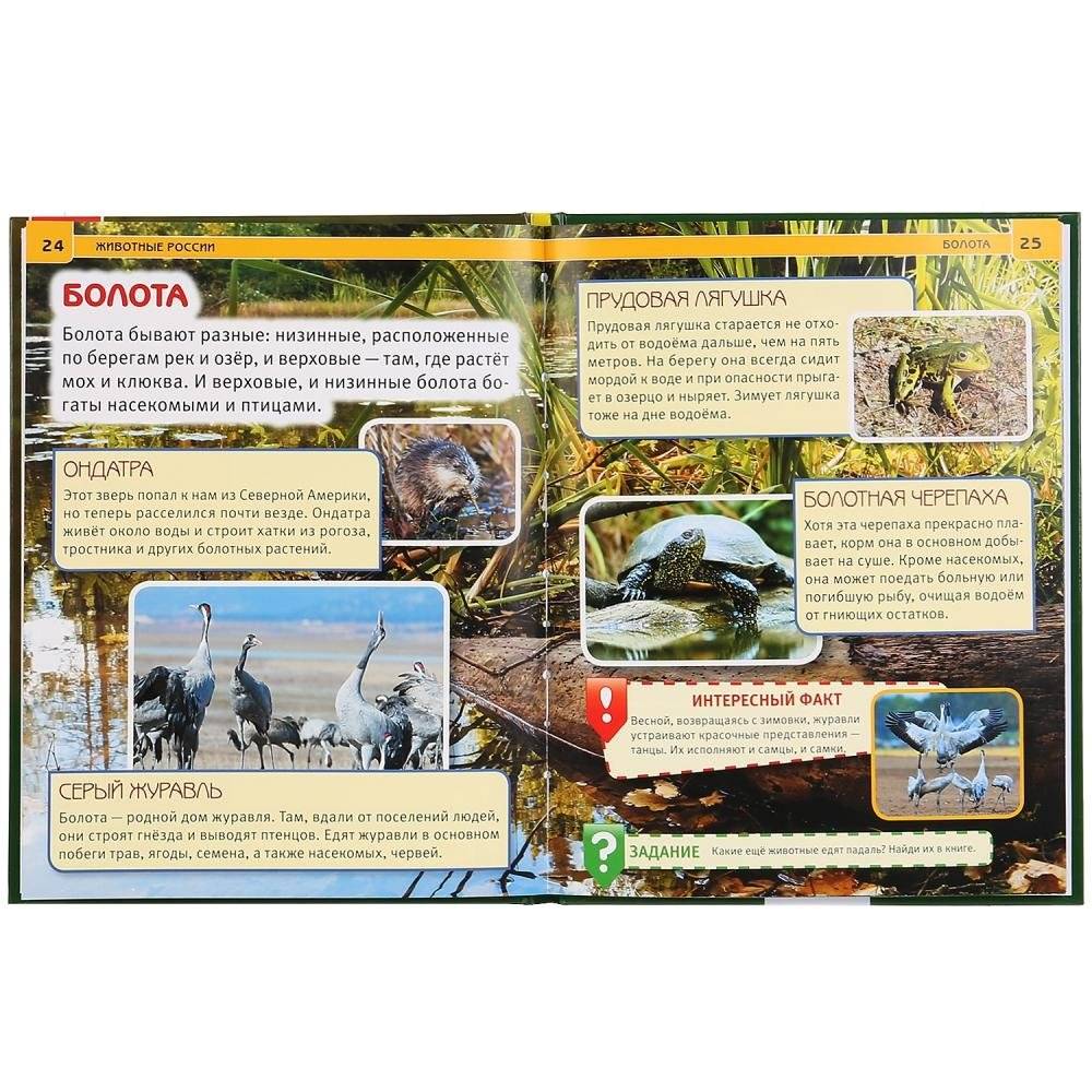 Животные России фото книги 3