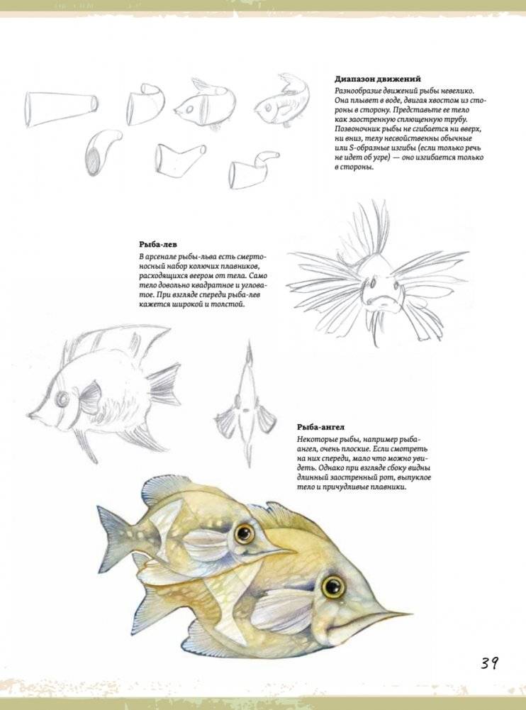 Создание фантастических существ и животных с помощью акварели фото книги 4