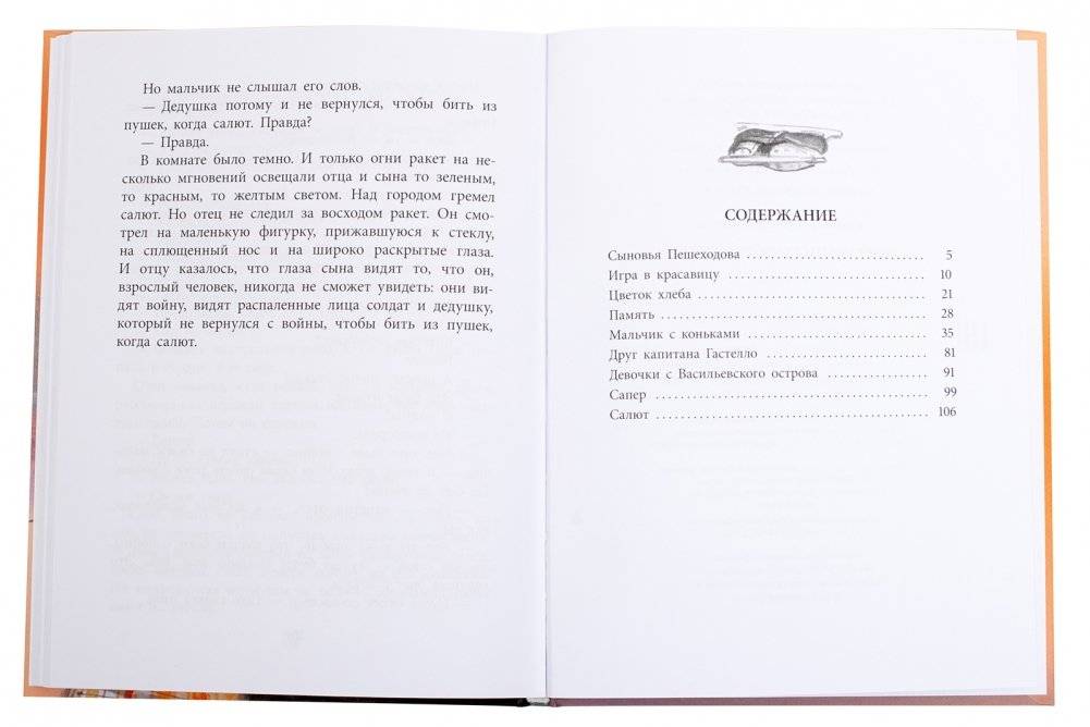 Друг капитана Гастелло фото книги 5