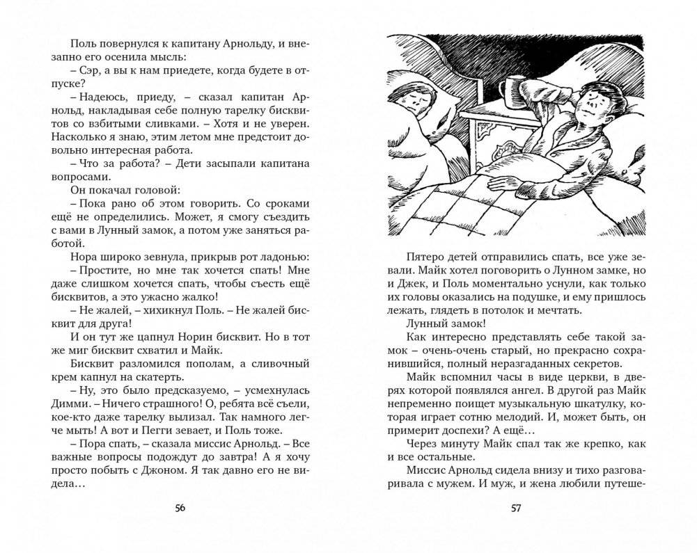 Тайна мрачного замка фото книги 6