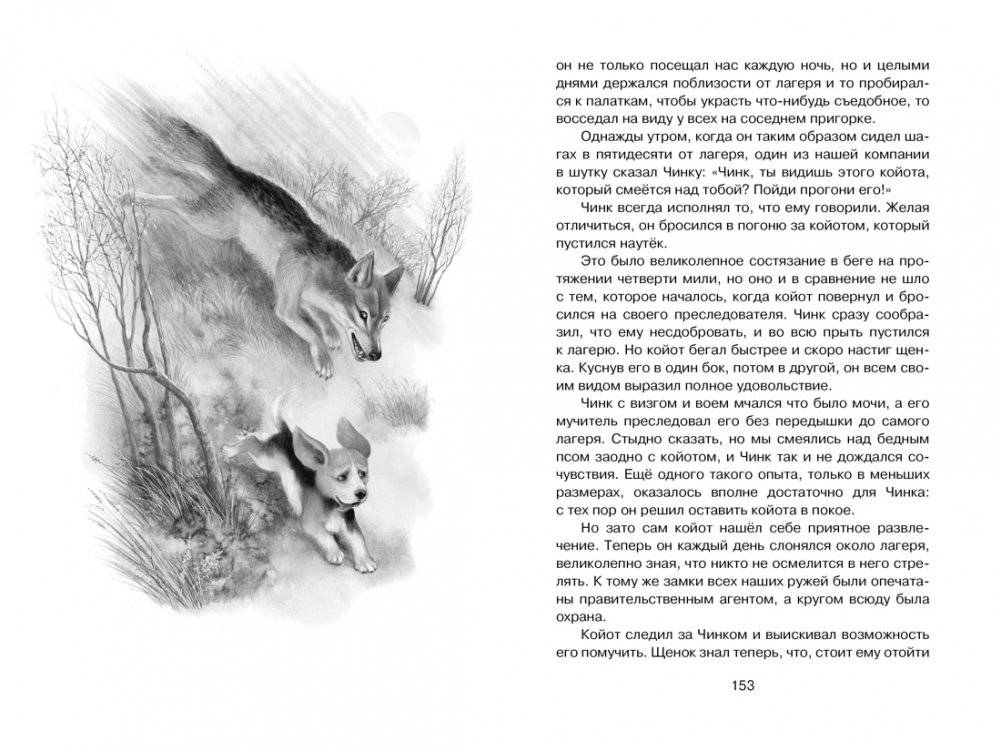 Рассказы о животных фото книги 7