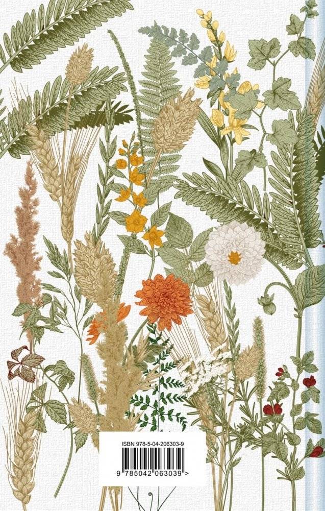 Новые Авонлейские хроники фото книги 2