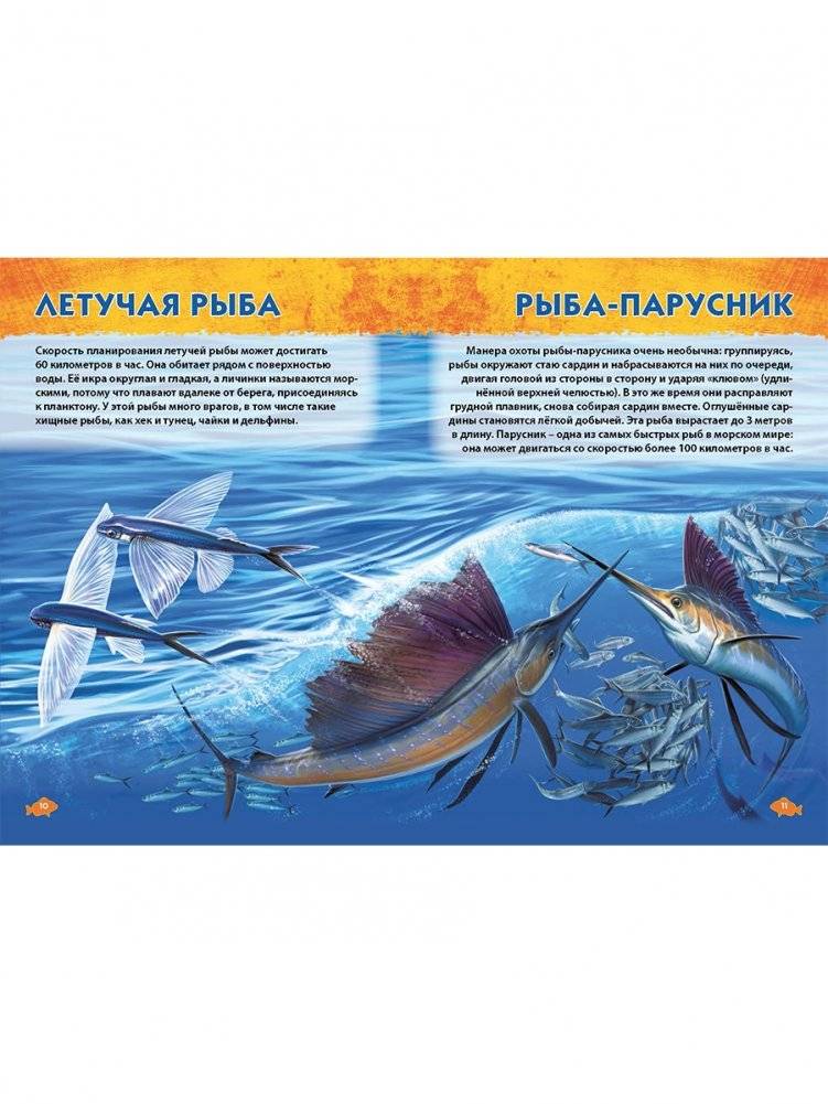 Подводный мир. Первая энциклопедия дошкольника фото книги 5