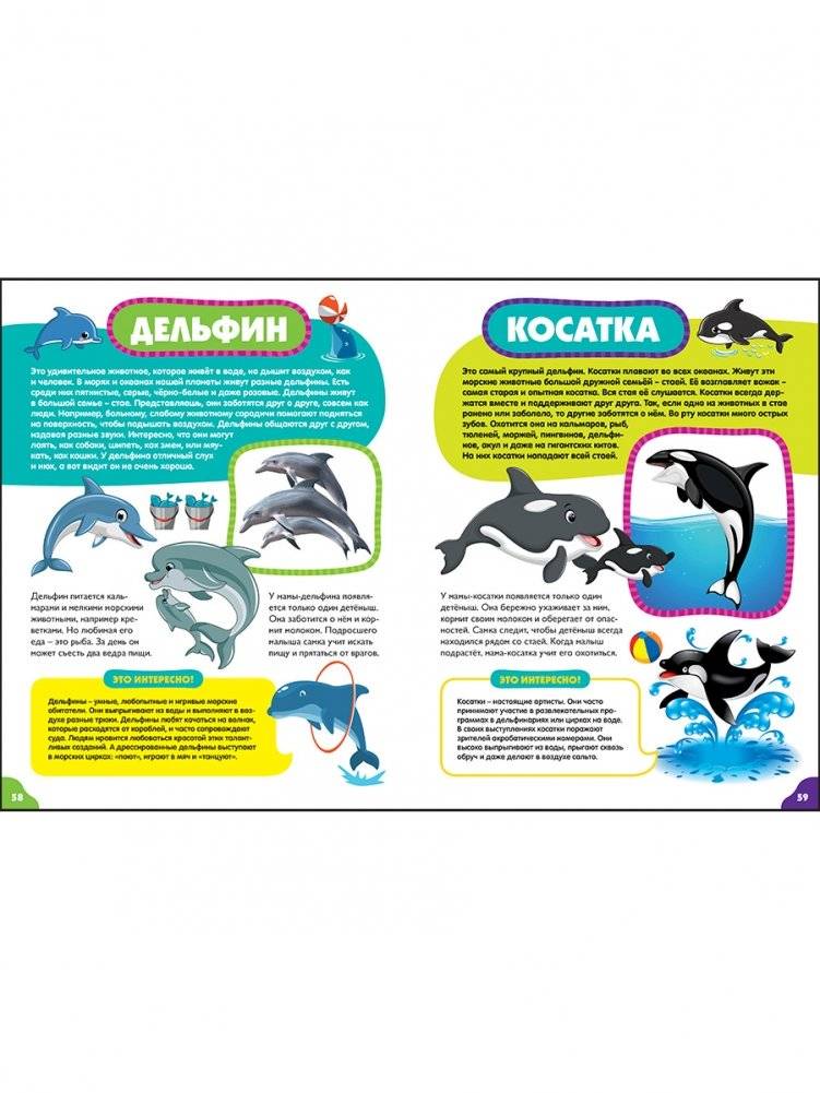 Животные для малышей. Первая энциклопедия для самых маленьких фото книги 9