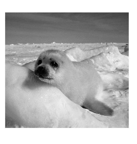 Когда тебе грустно... Как поднять себе настроение фото книги 3