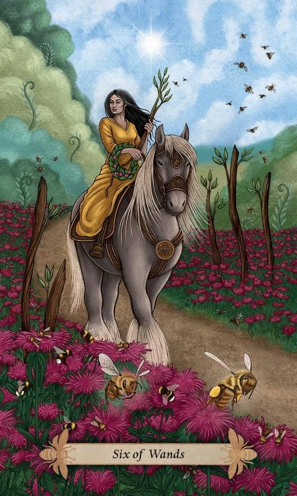 Bee Tarot фото книги 4
