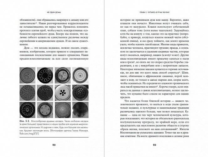 Не один дома. Естественная история нашего жилища от бактерий до многоножек, тараканов и пауков фото книги 4