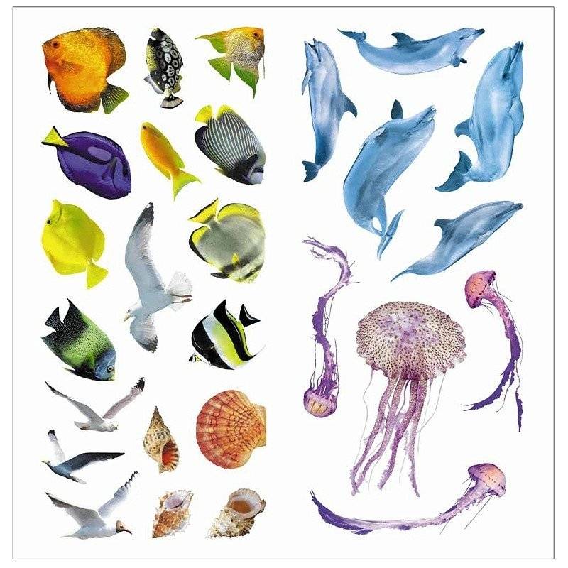 Мир природы. Фотонаклейки. В море фото книги 4