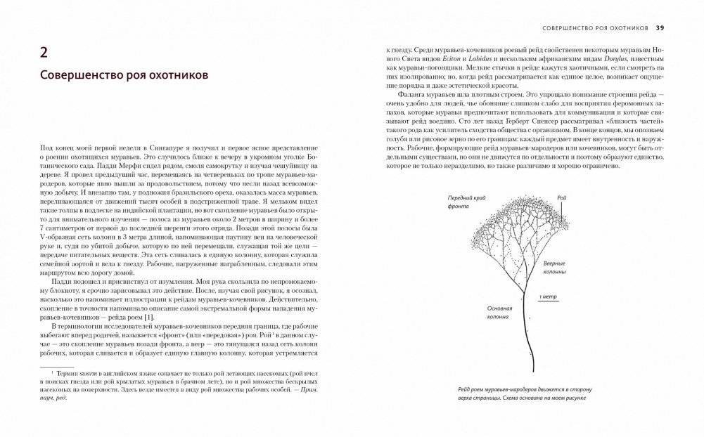 Приключения среди муравьев. Путешествие по земному шару с триллионами суперорганизмов фото книги 10