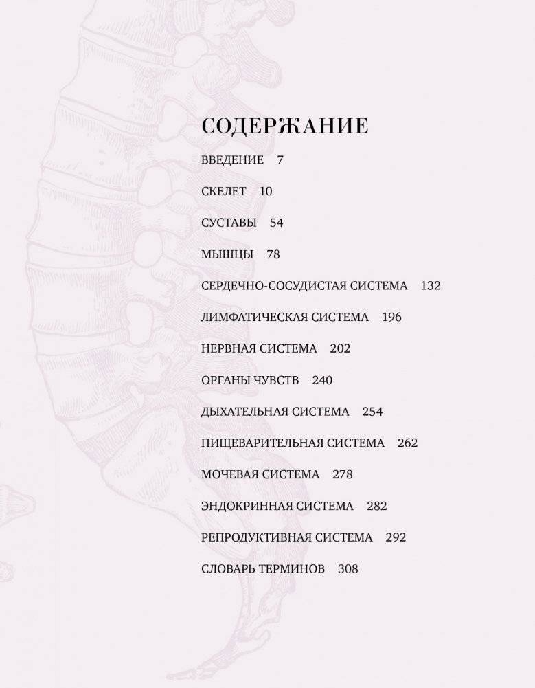 Анатомия. С иллюстрациями из классической «Анатомии Грея» фото книги 2