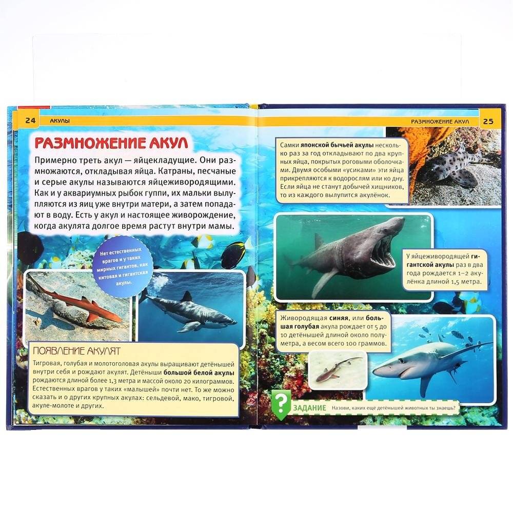 Акулы. Энциклопедия фото книги 2