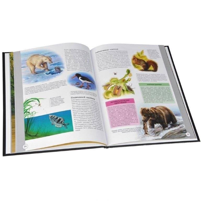 Чудеса природы. Энциклопедия фото книги 2