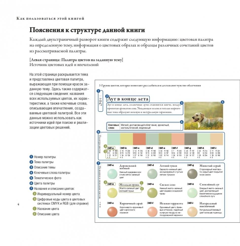 Сочетания цветов на практике фото книги 4