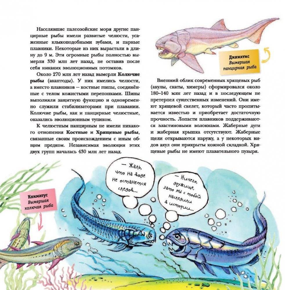 Динозавры фото книги 7