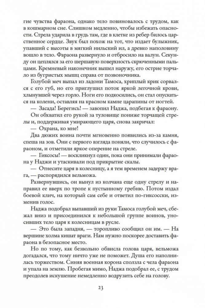 Чародей фото книги 23