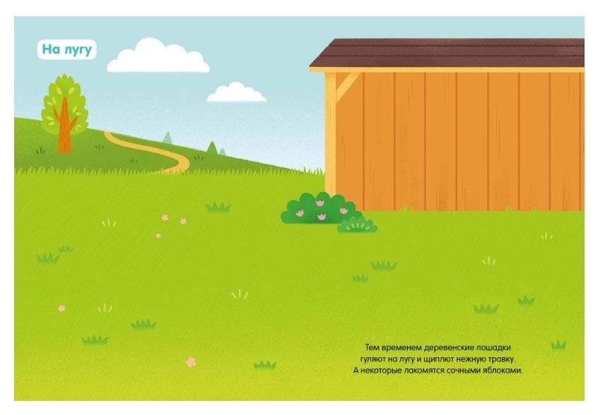 Лошадки фото книги 3