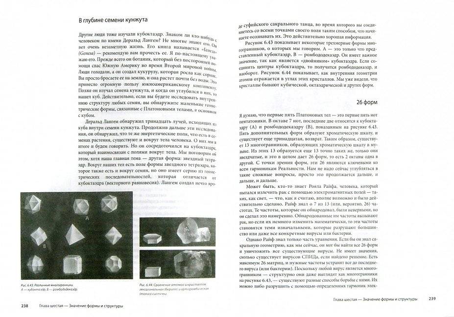 Древняя тайна Цветка Жизни. Том 1-2 фото книги 2