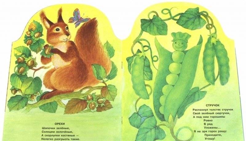 Что нам лето подарило? фото книги 2