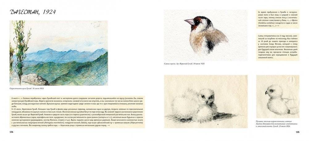 От Двины до Мургаба. Пути и тропы художника-анималиста фото книги 6