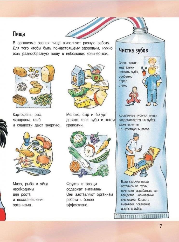 Иллюстрированная энциклопедия отчего и почему фото книги 8