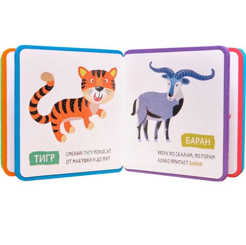 Разноцветный зоопарк. Коала фото книги 3