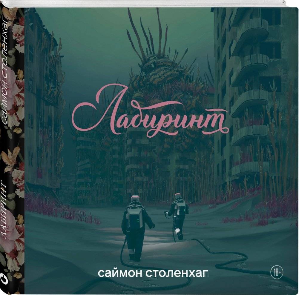 Лабиринт фото книги 2