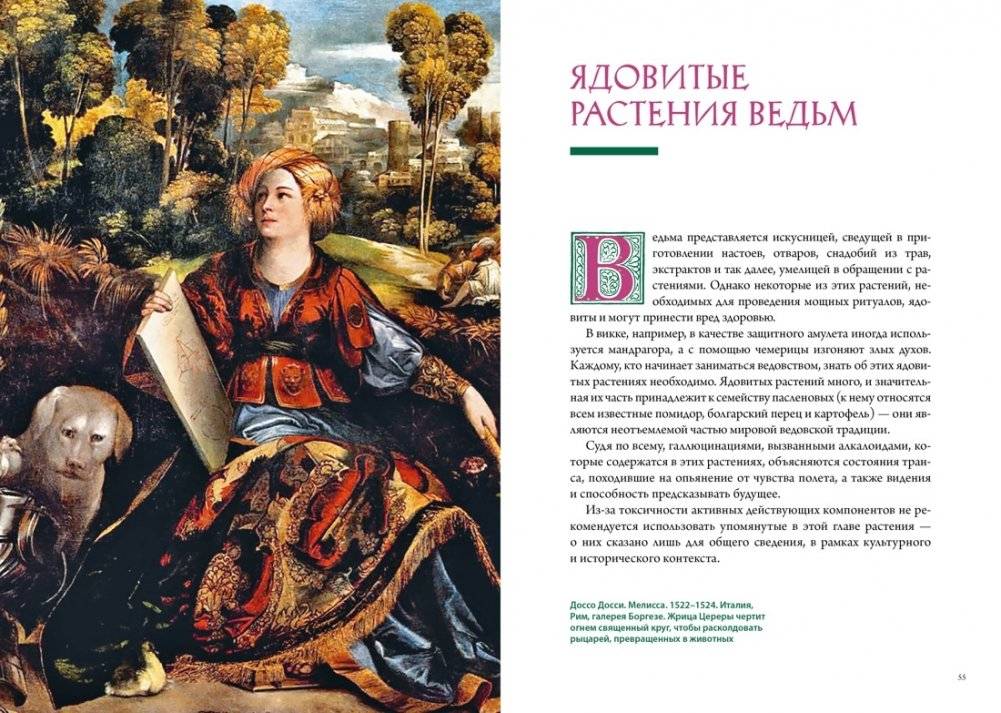 Викка. Зеленая магия, растения и ритуалы фото книги 5
