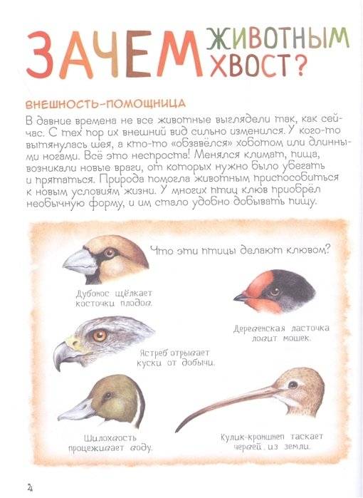 Удивительный мир животных. Энциклопедия для малышей фото книги 4