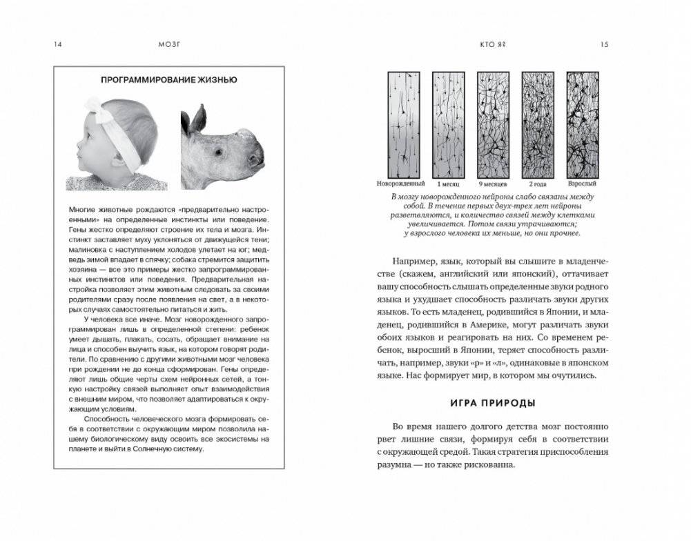 Мозг. Ваша личная история фото книги 4