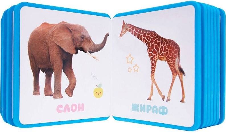 Первые слова Пандочки фото книги 3