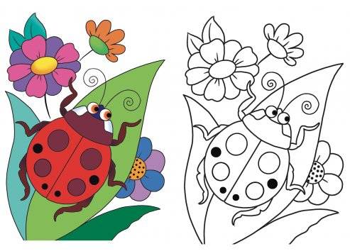 Веселые насекомые фото книги 4