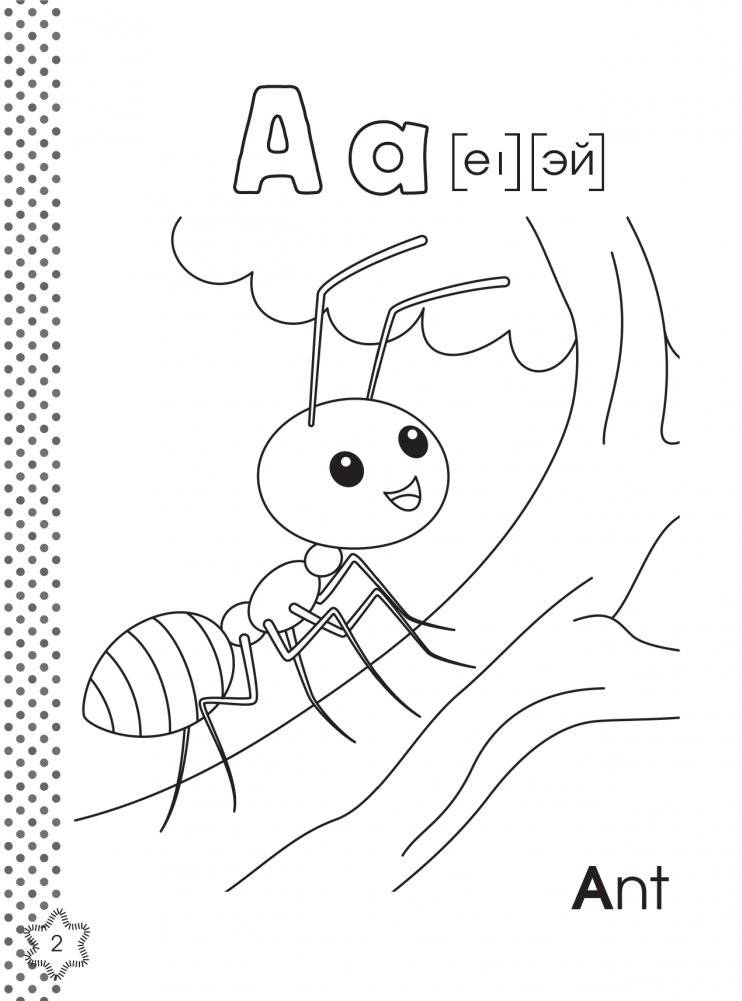 Английский алфавит. Азбука-раскраска фото книги 3