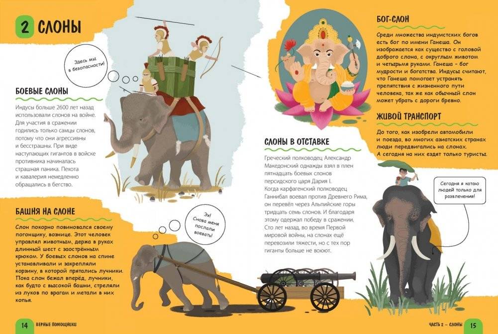 Верные помощники фото книги 3