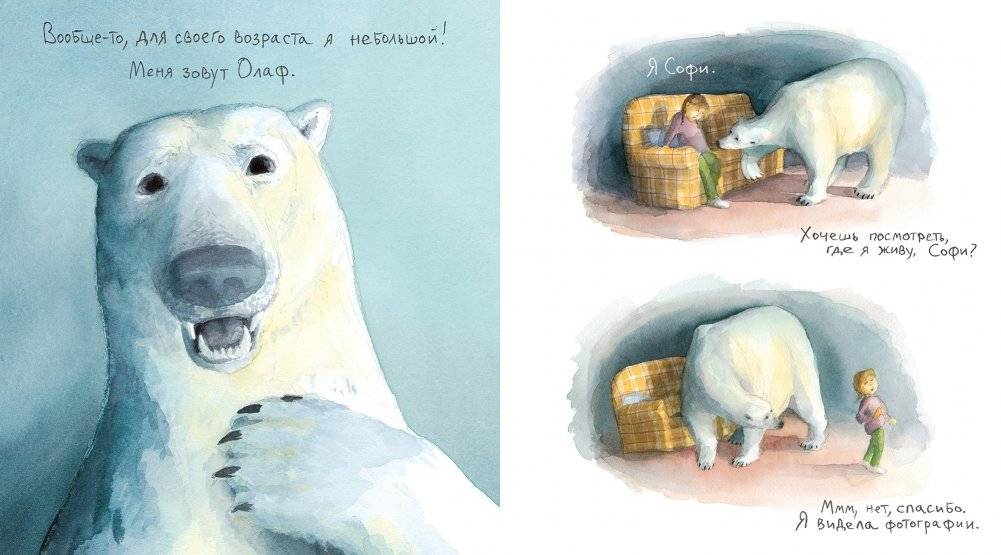 Доклад о медведях фото книги 4