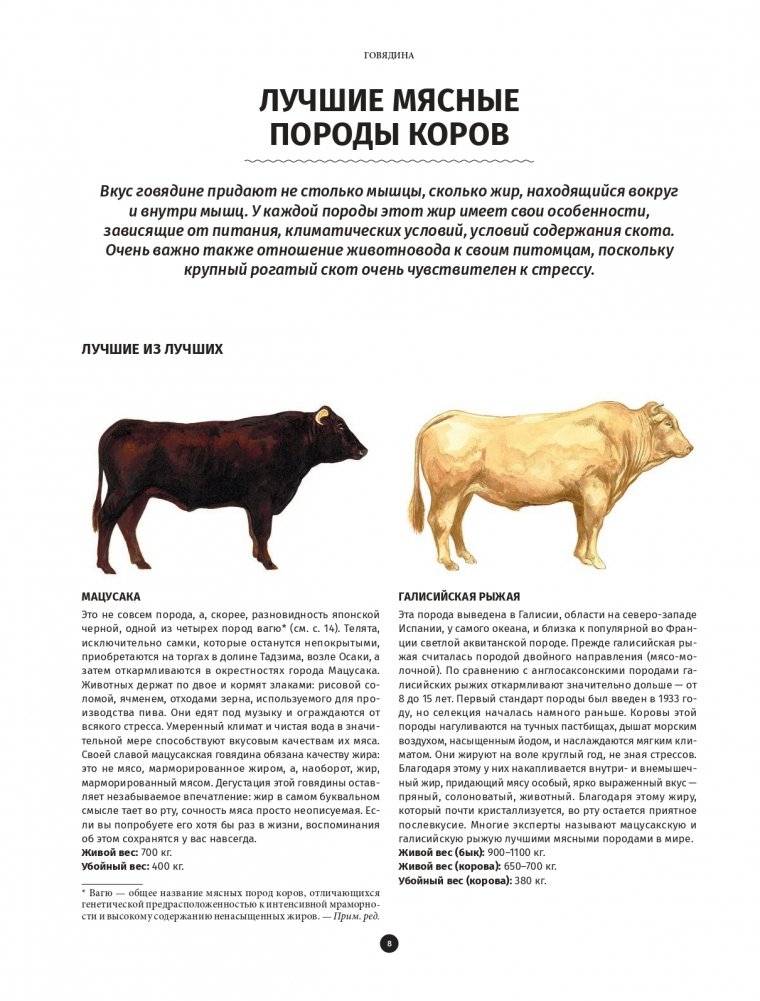 Мясо. Полное иллюстрированное руководство фото книги 5