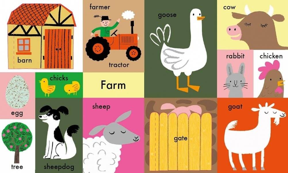 100 First Words фото книги 2