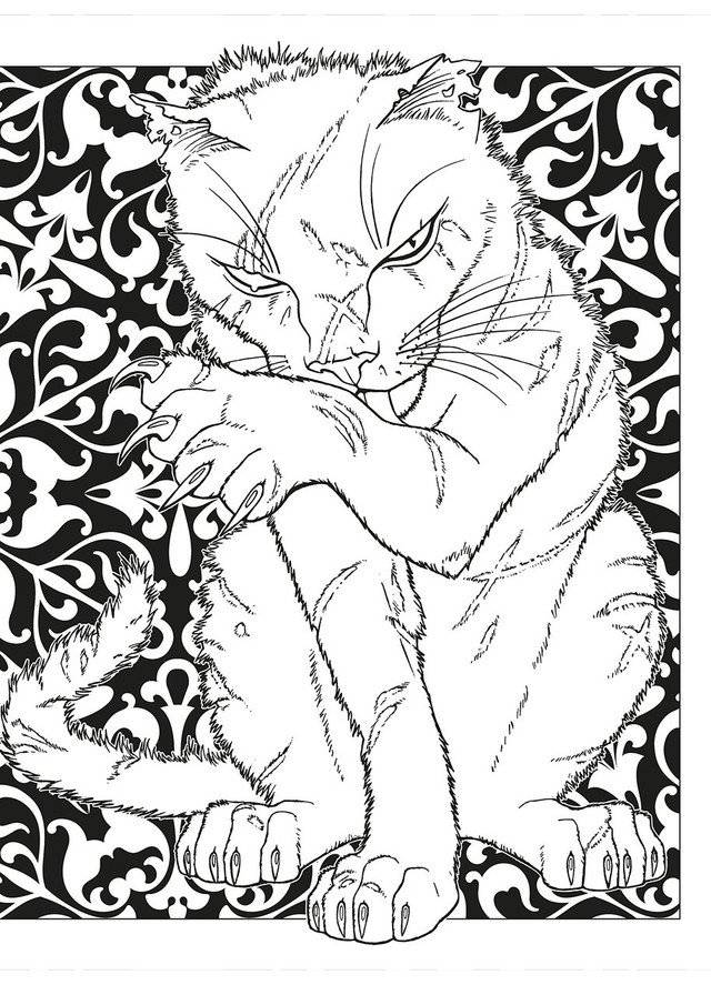 Terry Pratchett's Discworld Colouring Book фото книги 4