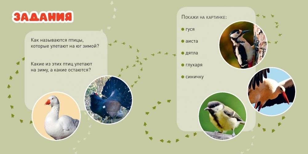 Кто как зимует? фото книги 6