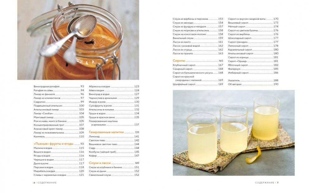 Домашние напитки. Для праздников и на каждый день фото книги 3